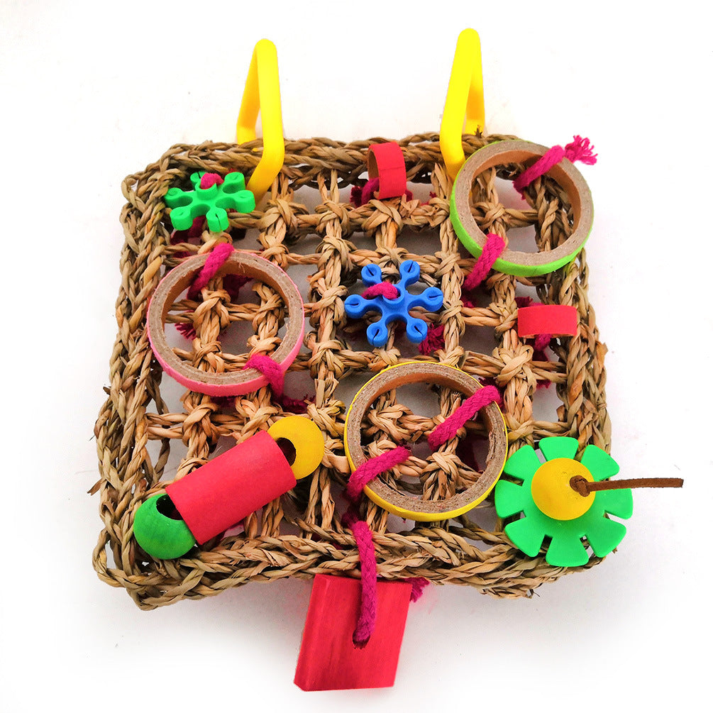 Juguete de loro, bloques de construcción de colores.
