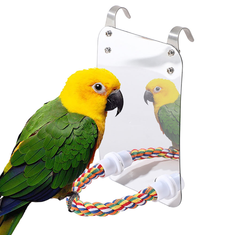 Juguete para loros, de acrílico y con espejo.