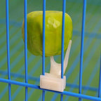 Tenedor de frutas para pájaros.