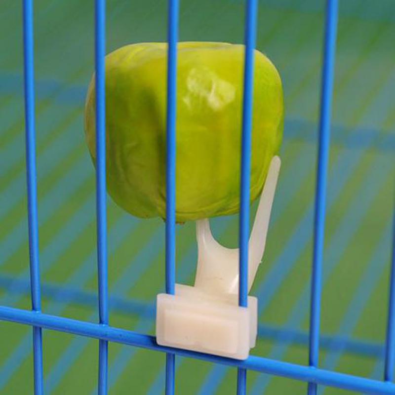 Tenedor de frutas para pájaros.
