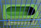Comedero colgante para pájaros a prueba de salpicaduras.