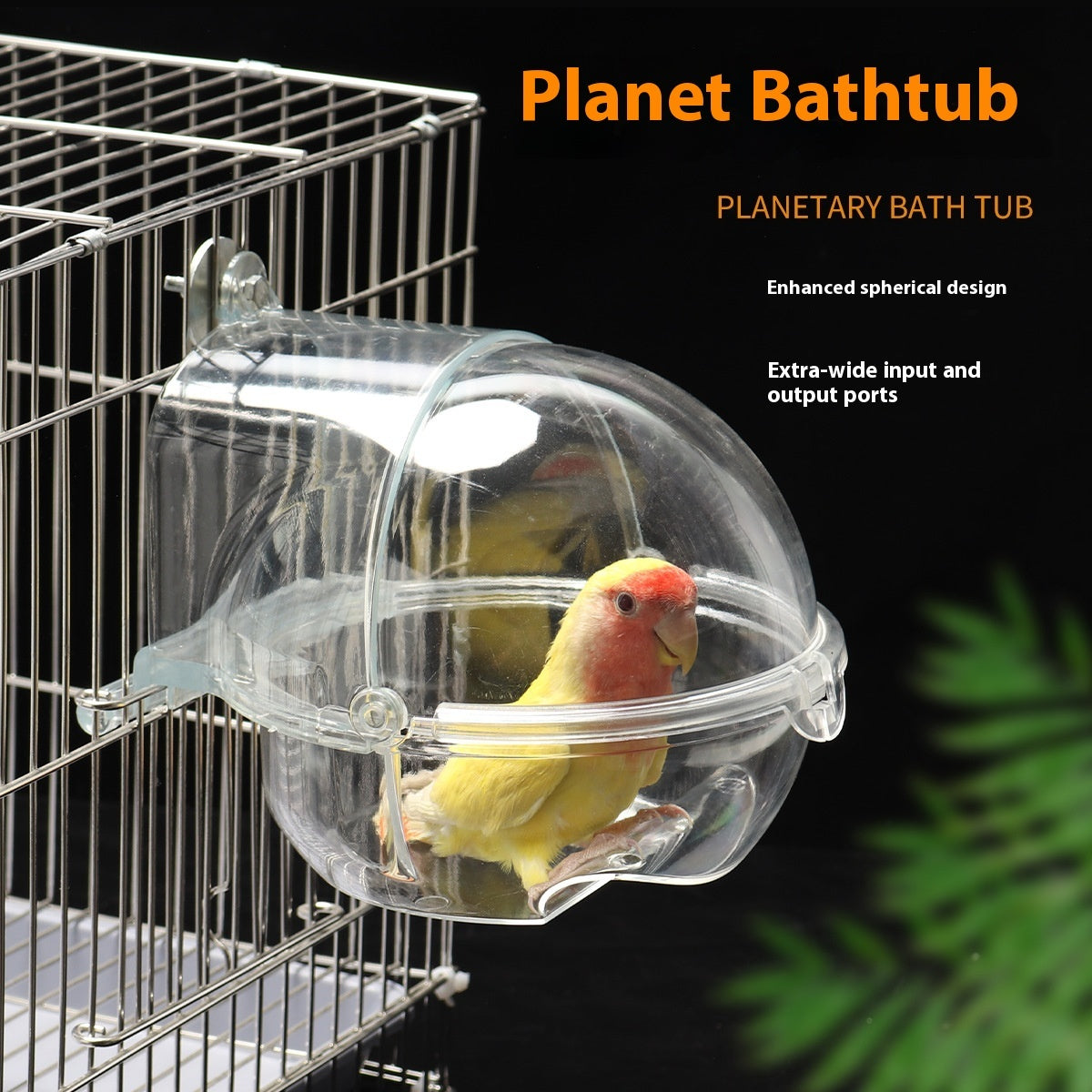 Complemento para bañera de loros y pájaros.