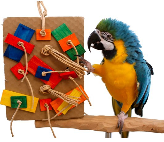 Juguete para loros con bloques de construcción de colores para mordisquear.