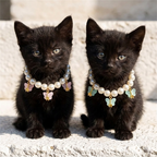Collar con decoración de perlas para perros y gatos.