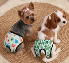 Braguitas Menstruales para mascotas. Material resistente.