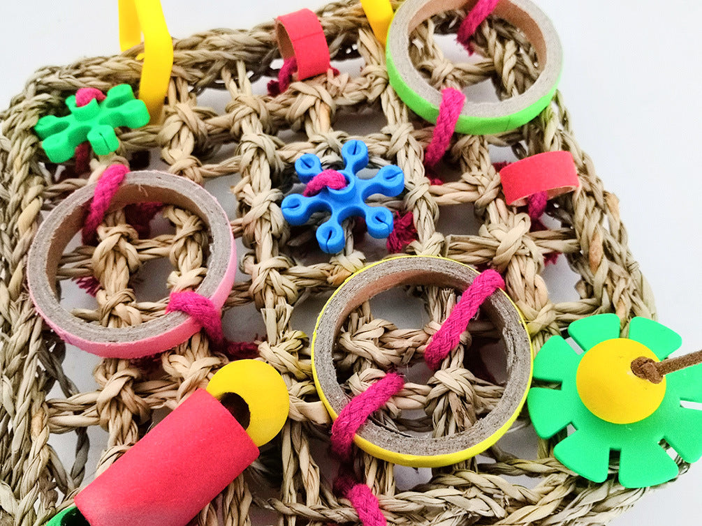 Juguete de loro, bloques de construcción de colores.