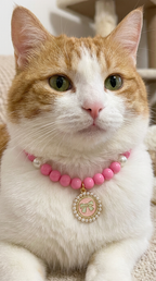 Accesorios para mascotas, collar con lazo de fresa de metal.