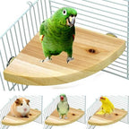 Accesorios para jaulas para escalar y jugar, plataforma de salto de madera maciza.