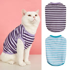 product/2026/1/20/2013460271187759104.jpg