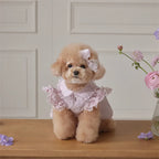 product/2025/11/28/1994331287397208064.jpg