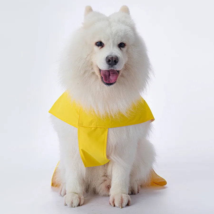 /product/2025/9/26/1971450913130418176.jpg
