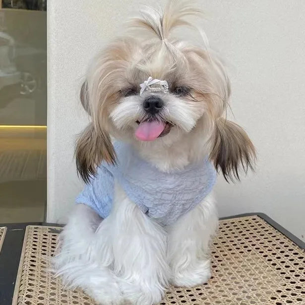 dsp/20250619/b0f6e5f1b7b64e4ba612e84a505863ba.jpg