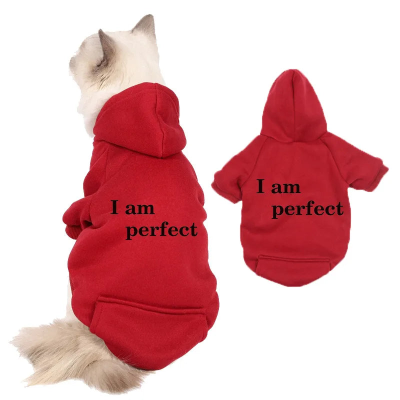 /product/2025/8/18/1957351666571415552.jpg