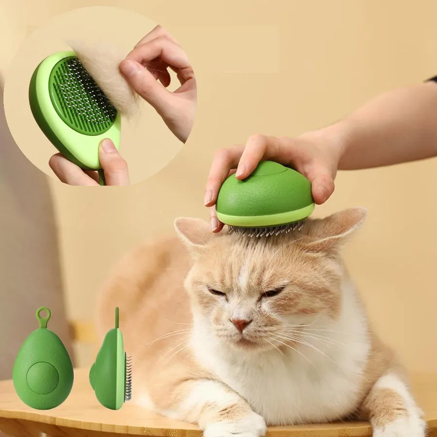 dsp/20250619/c4c7266cc7c145bd8da2af11b805393d.png