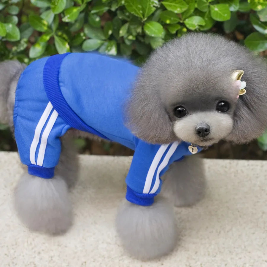 /product/2022/9/19/1571797490779426816.jpg