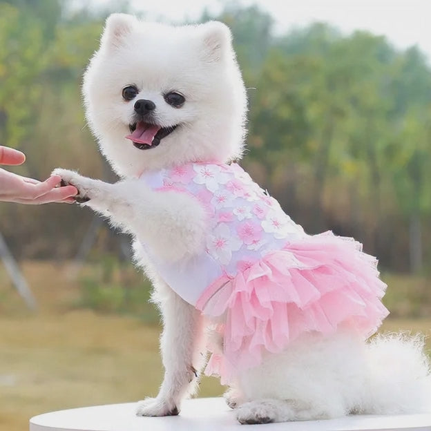 Ropa para mascotas, de mezclilla diseño de princesa.
