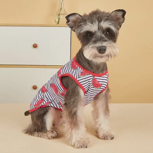 Ropa de verano para mascotas, ropa casual.