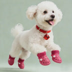 Zapatos para mascotas para una protección cómoda y duradera.