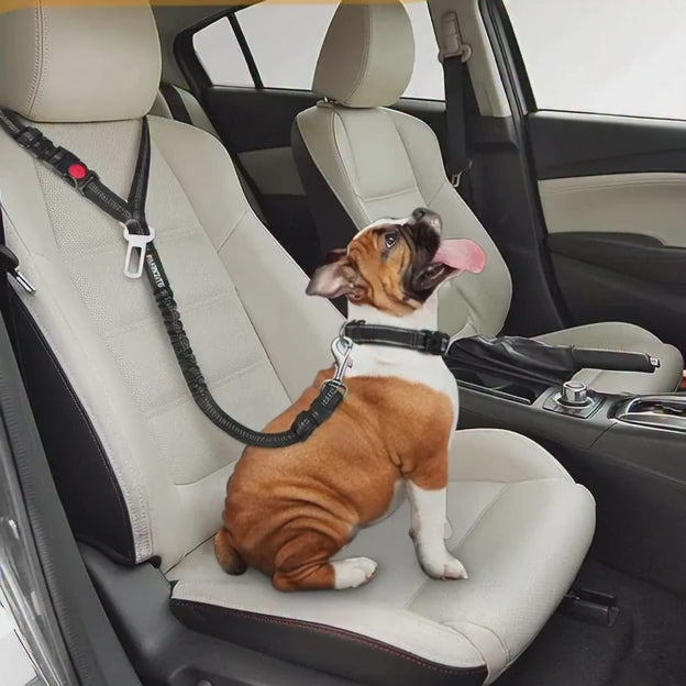 Correa de Seguridad para Mascotas.