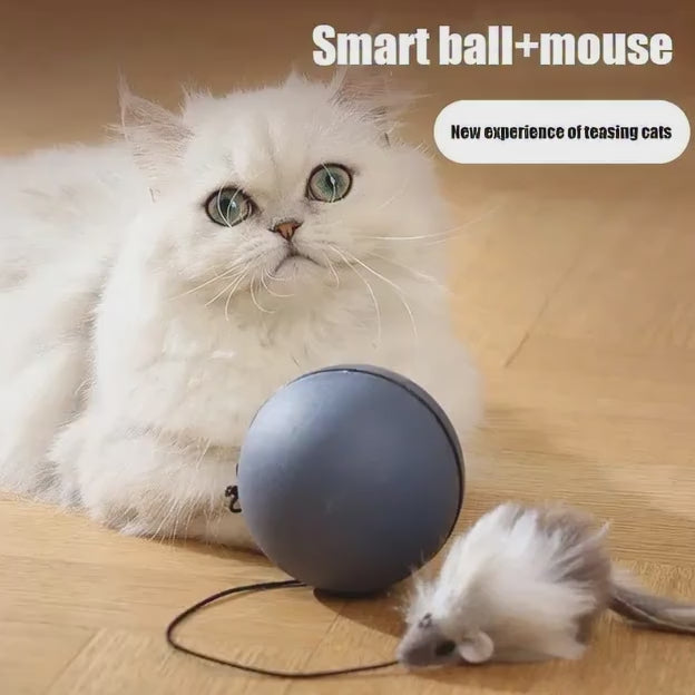 Juguetes para gatos, pelota de juguete con forma de ratón.