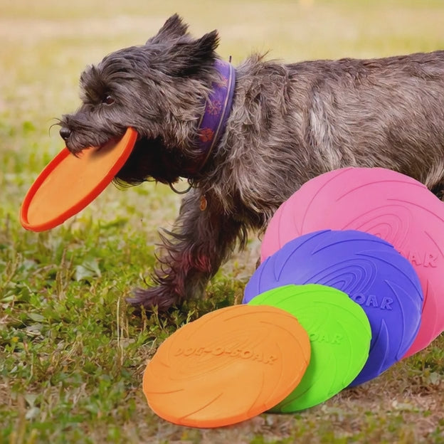 Juguete para Perros. Juguete Duradero Frisbee
