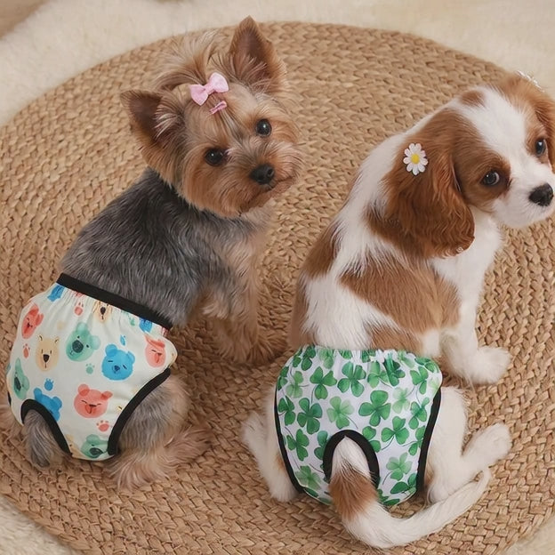 Braguitas Menstruales para mascotas. Material resistente.
