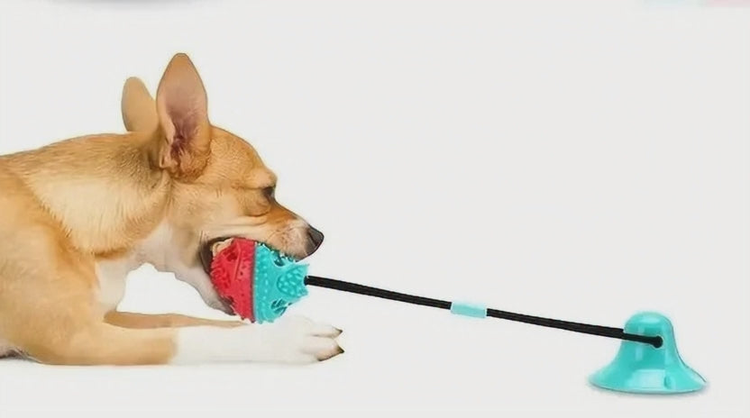 Juguete interactivo para perros que mastican con fuerza. Incluye ventosa y dispensador de premios.