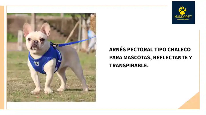 Arn&eacute;s pectoral tipo chaleco para mascotas, reflectante y transpirable. by@Outfy